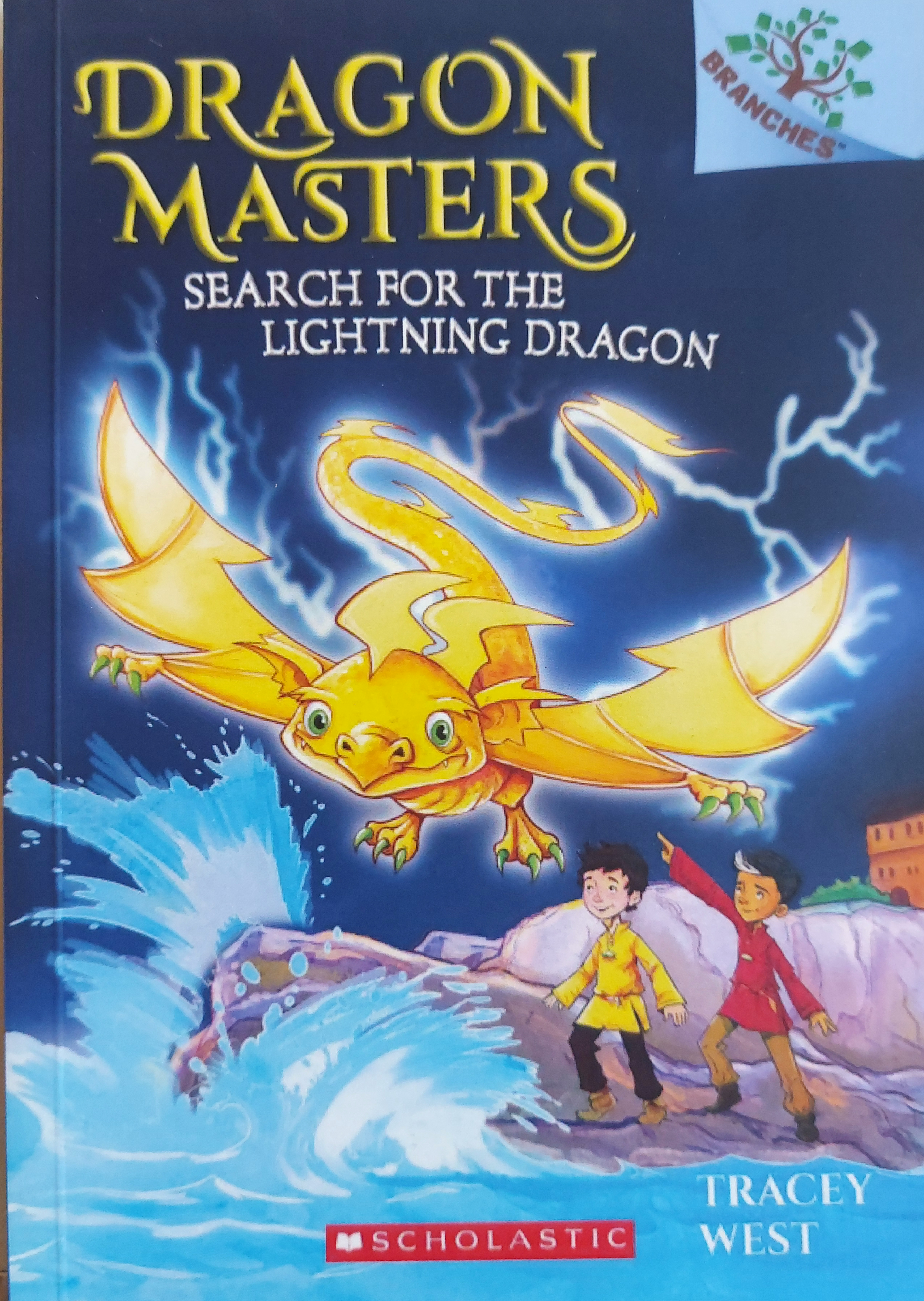 SEARCH FOR THE LIGHTNING DRAGON