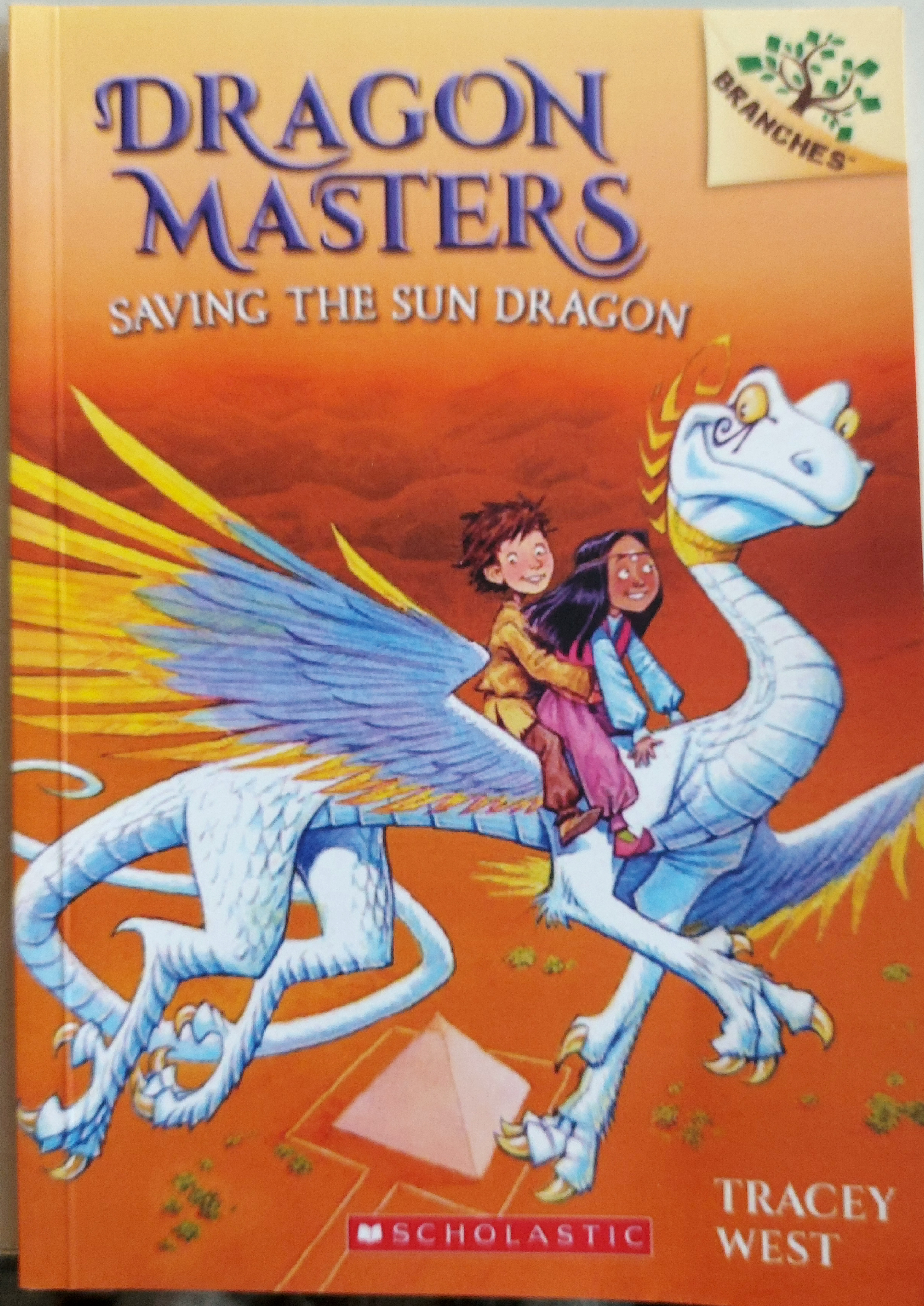SAVING THE SUN DRAGON