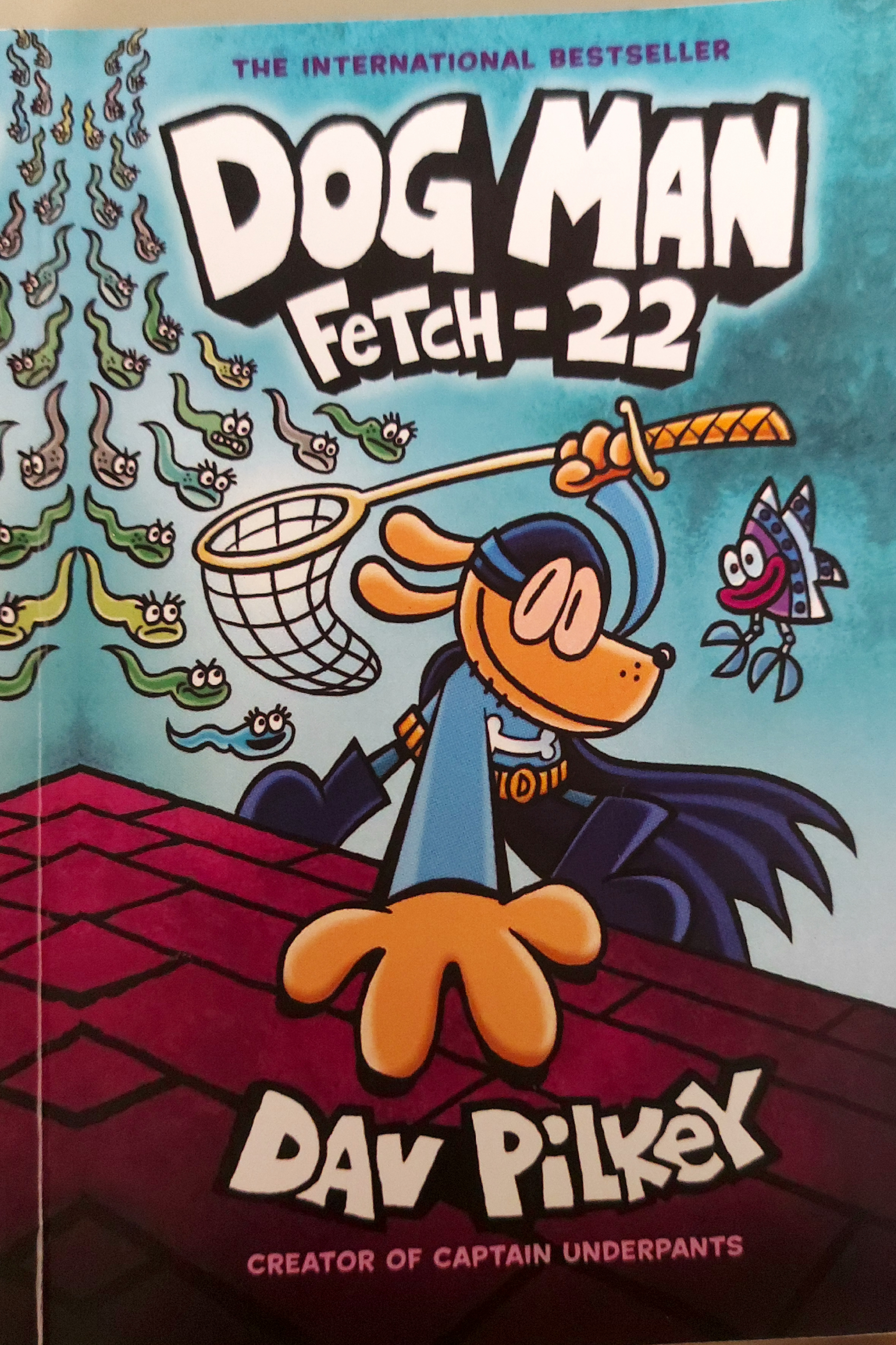 Fetch - 22