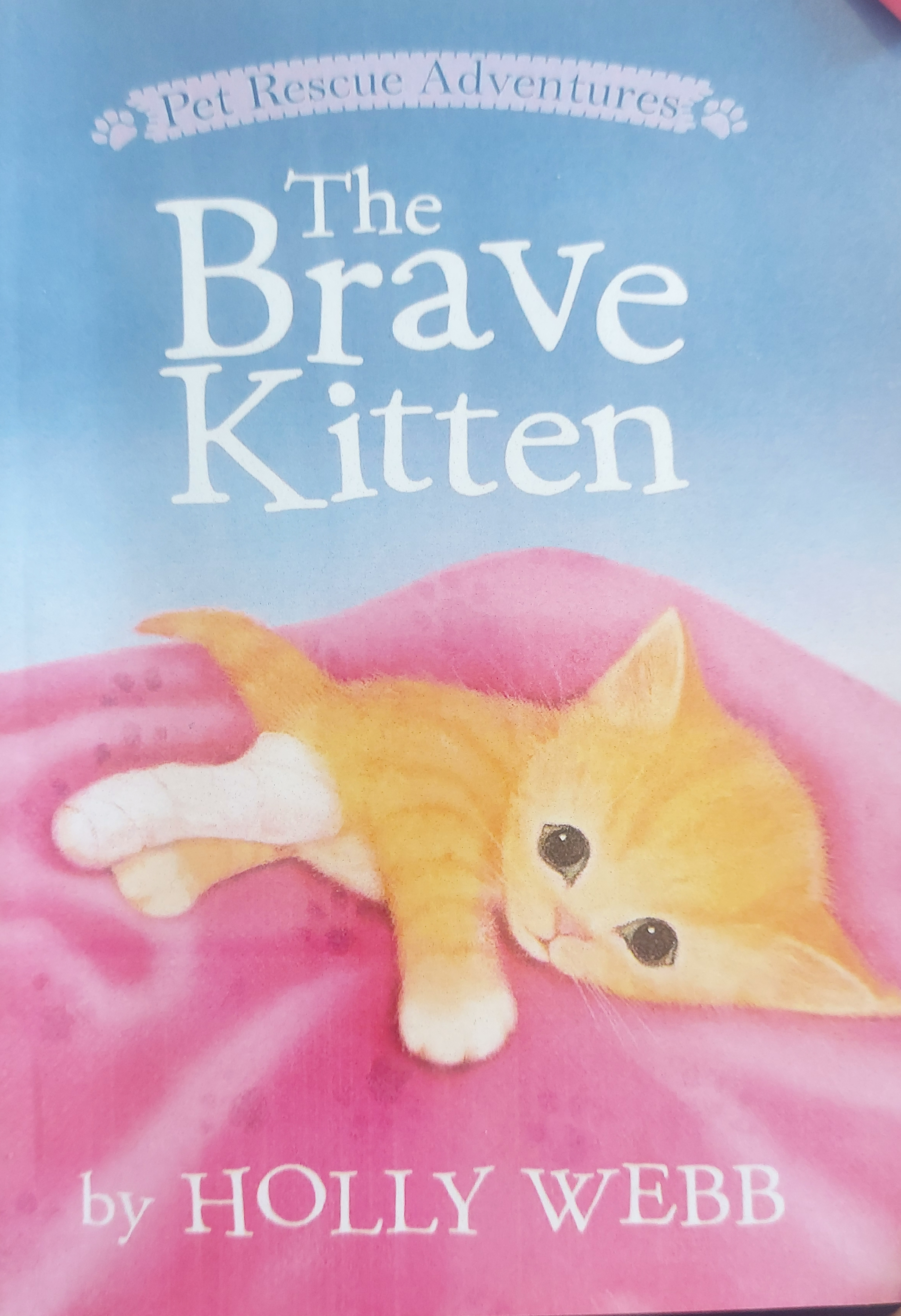 The Brave Kitten