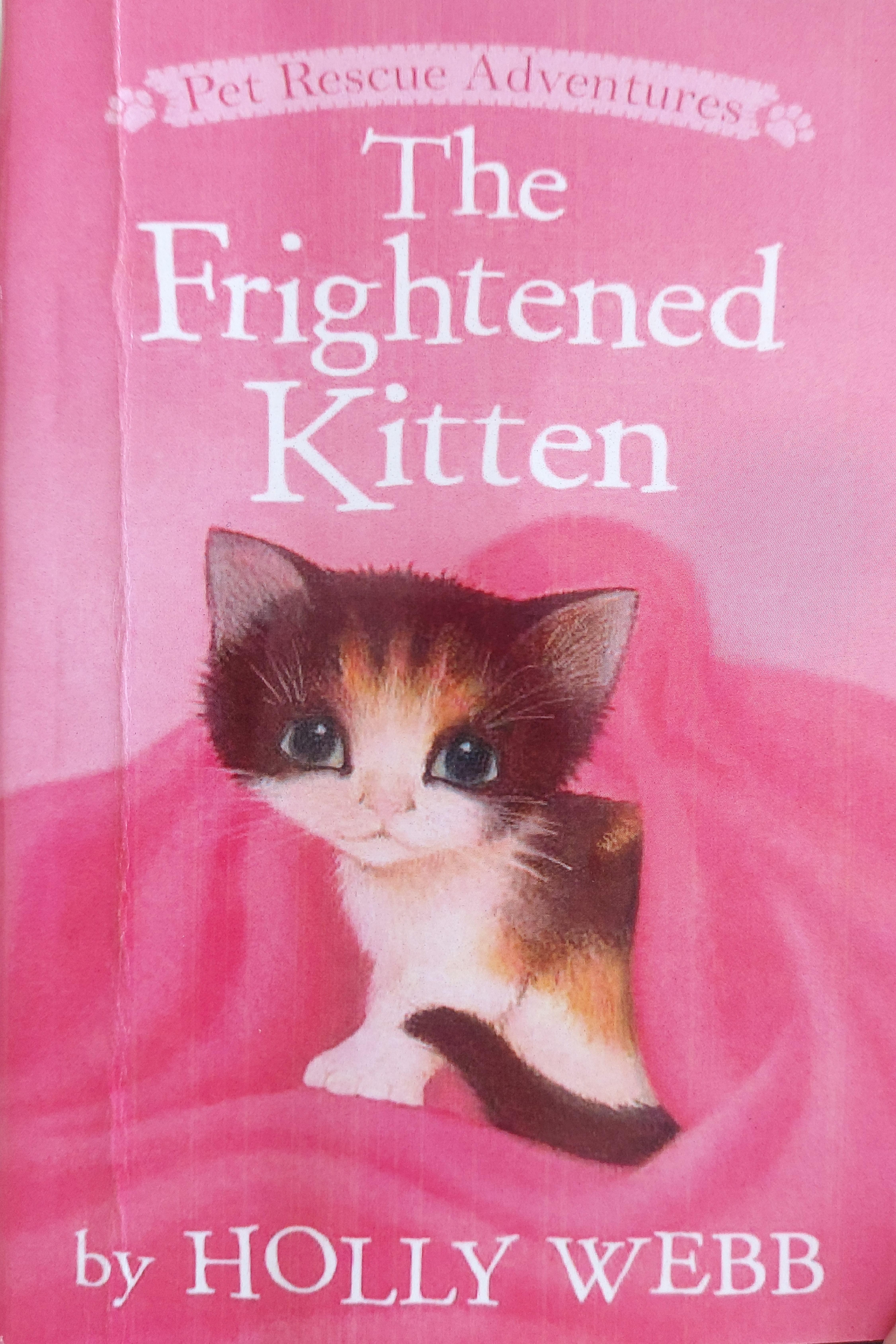 The Frightened Kitten