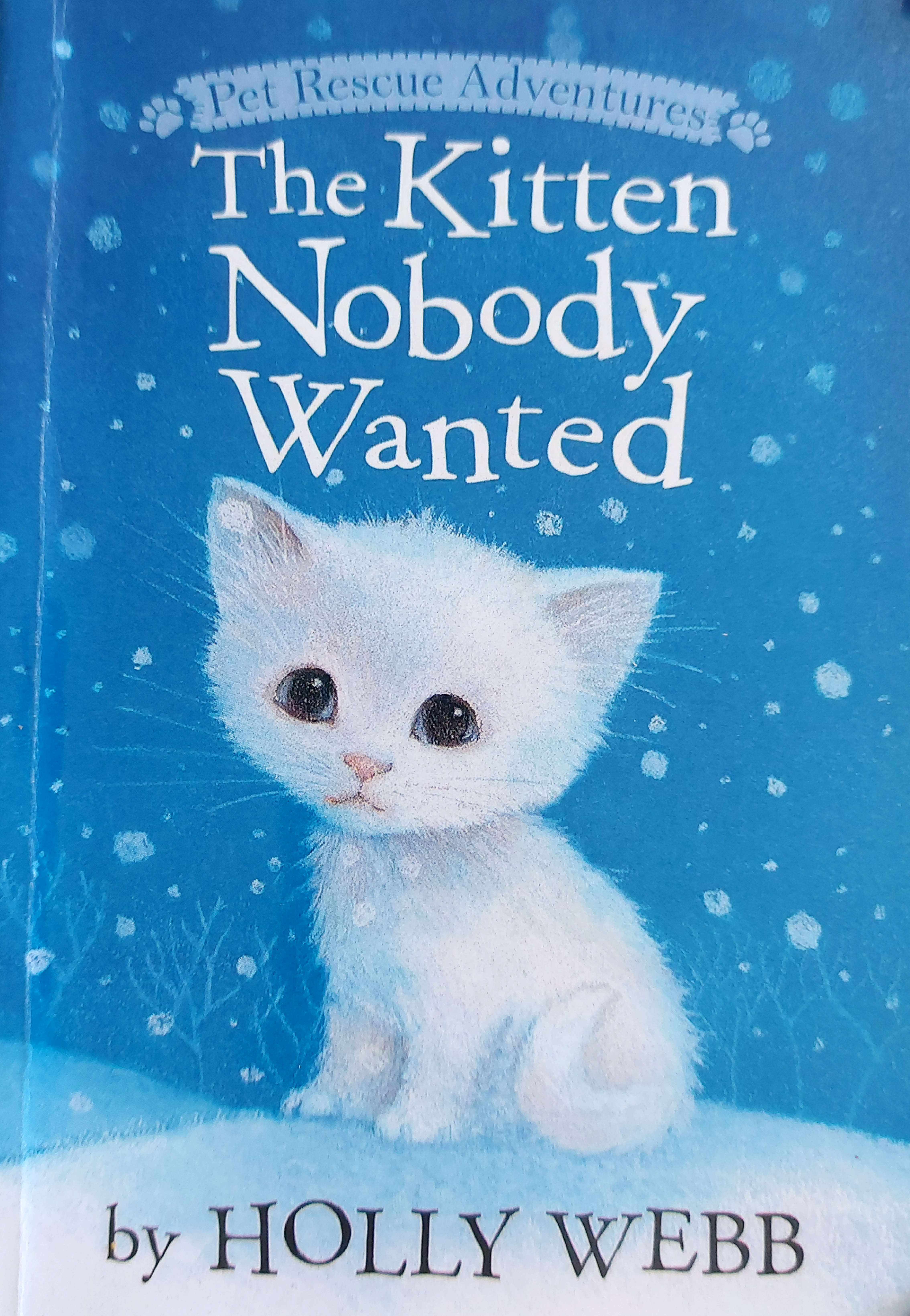 The Kitten Nobody Wanted