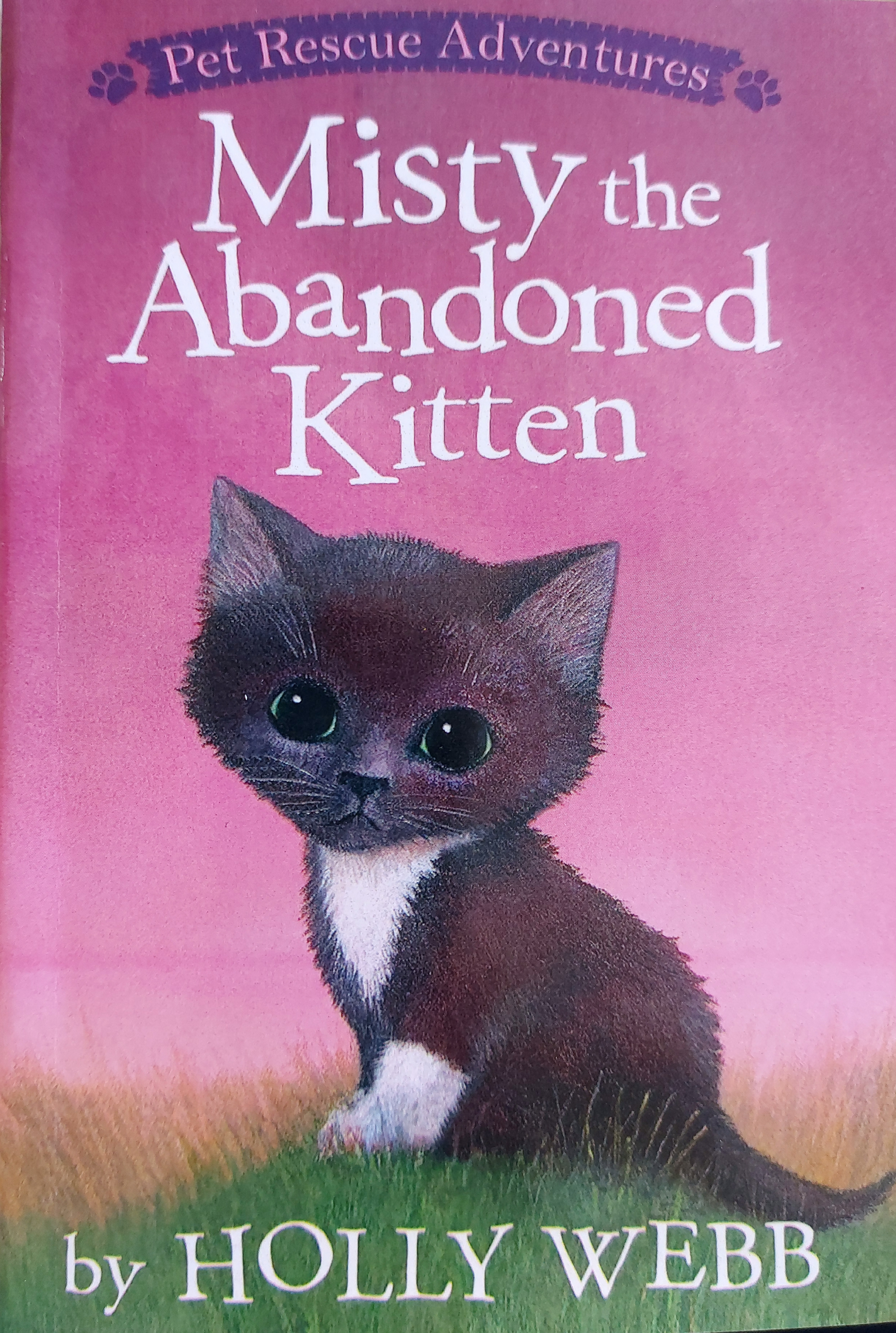 Misty the Abandoned Kitten