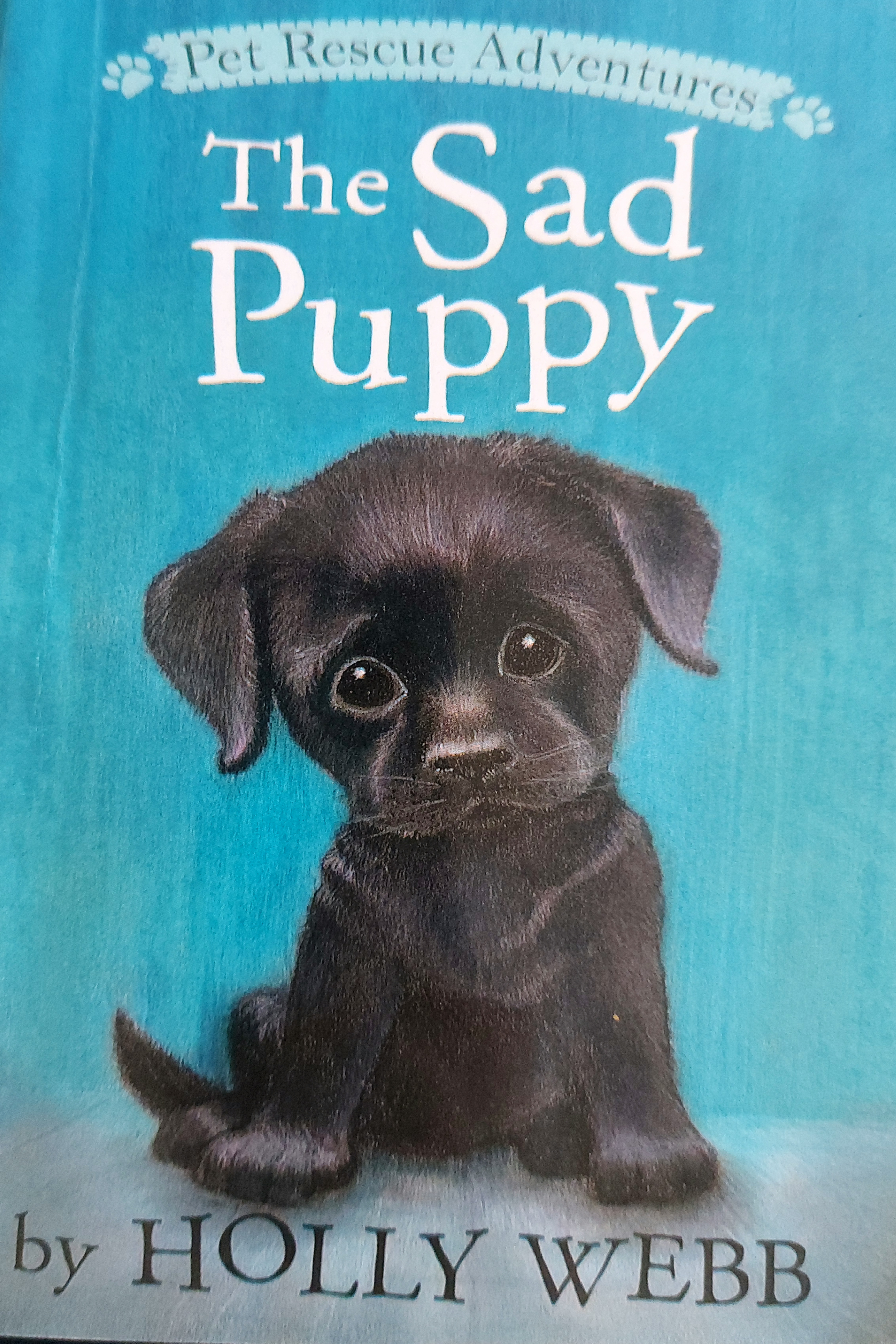 The Sad Puppy