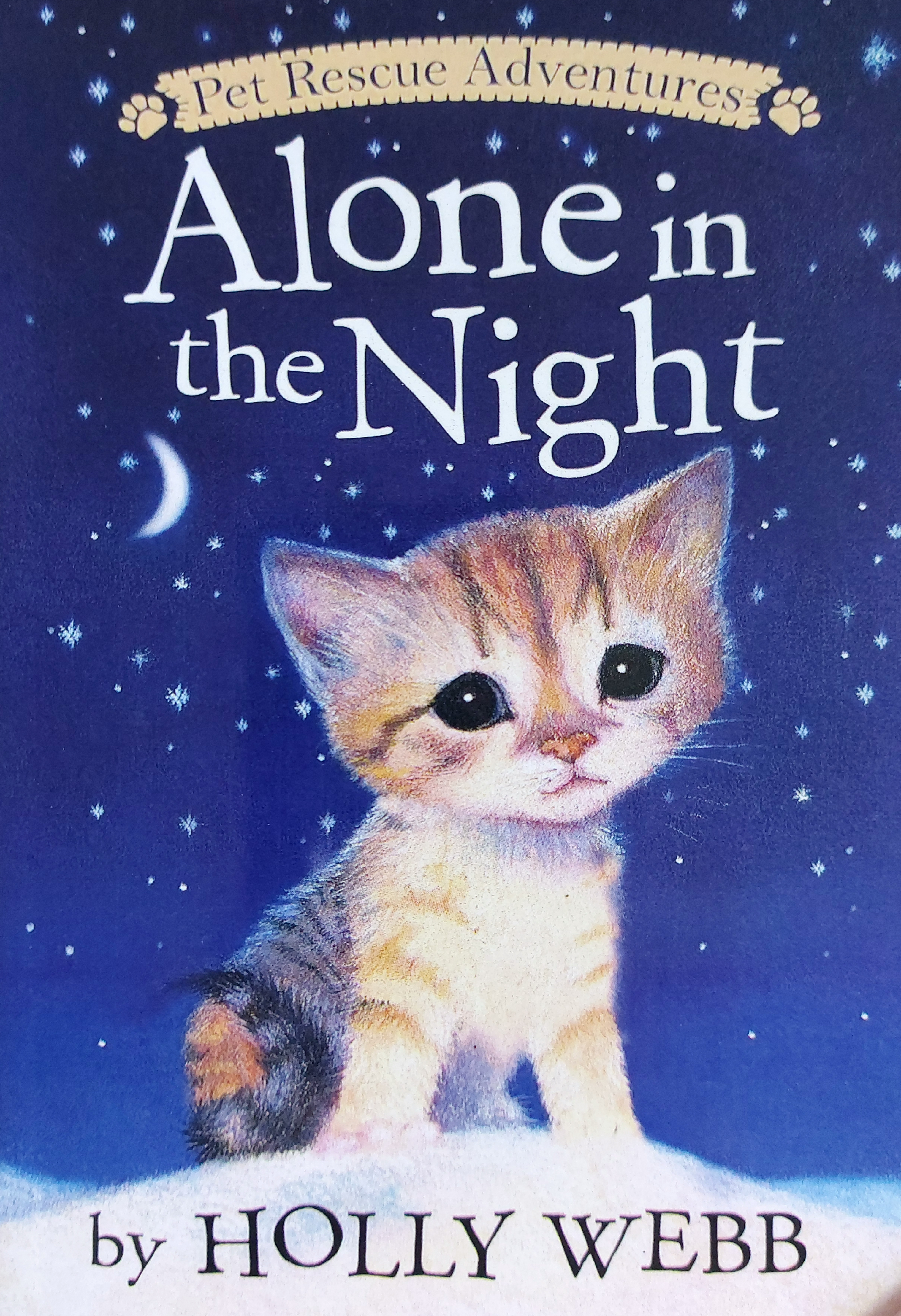 A lone in the Night