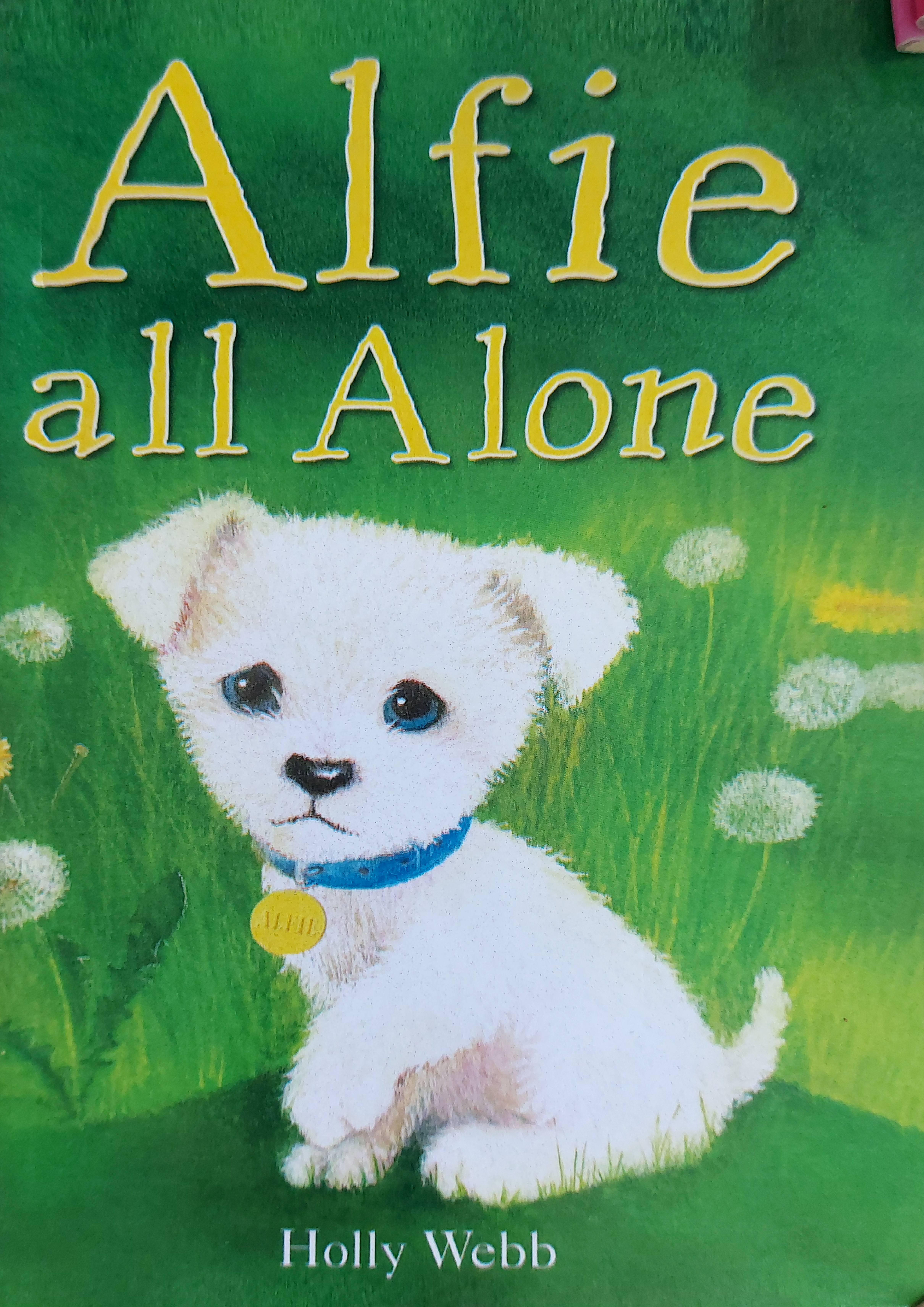 Alfie all Alone