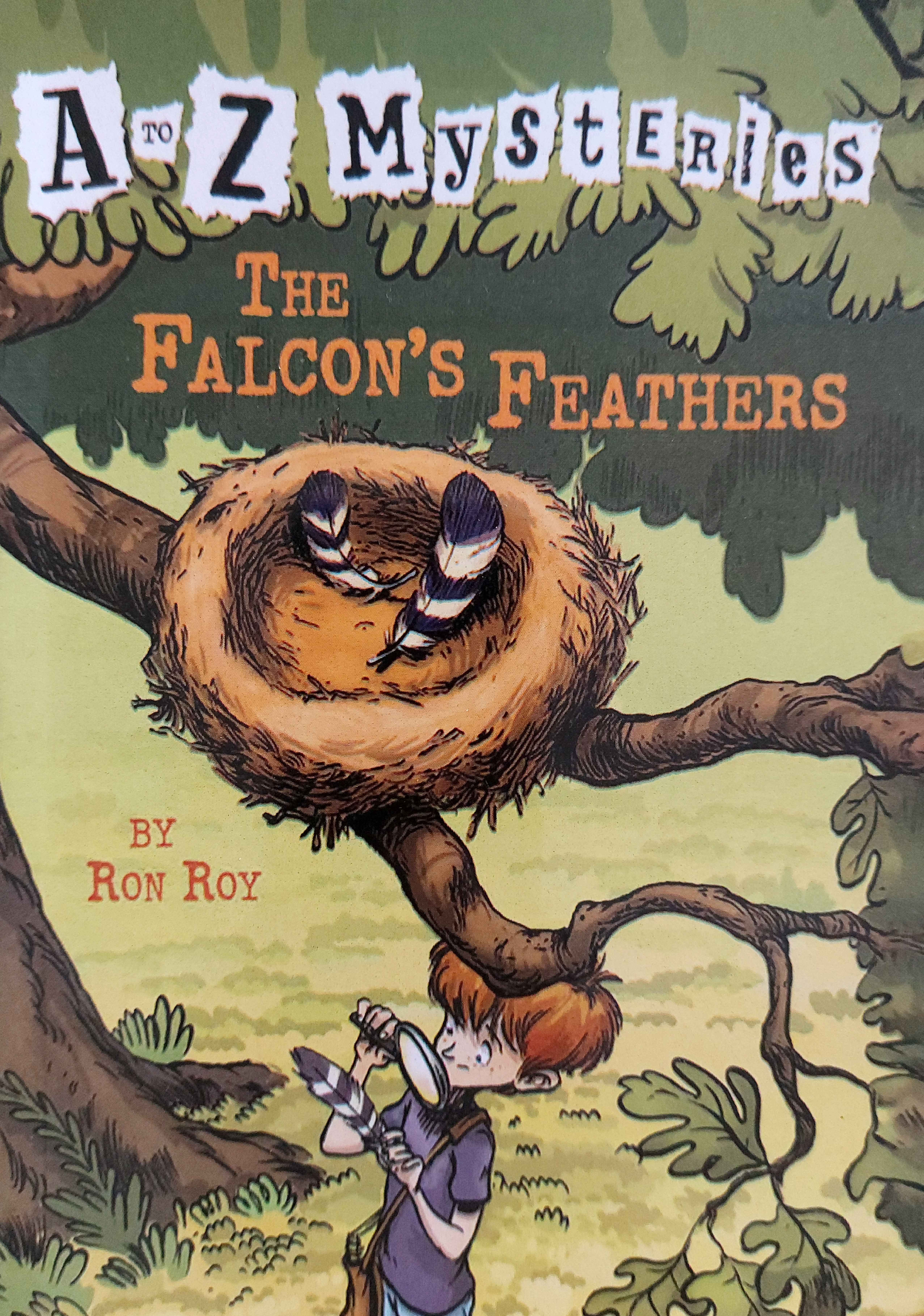 The Falcon's Feathers