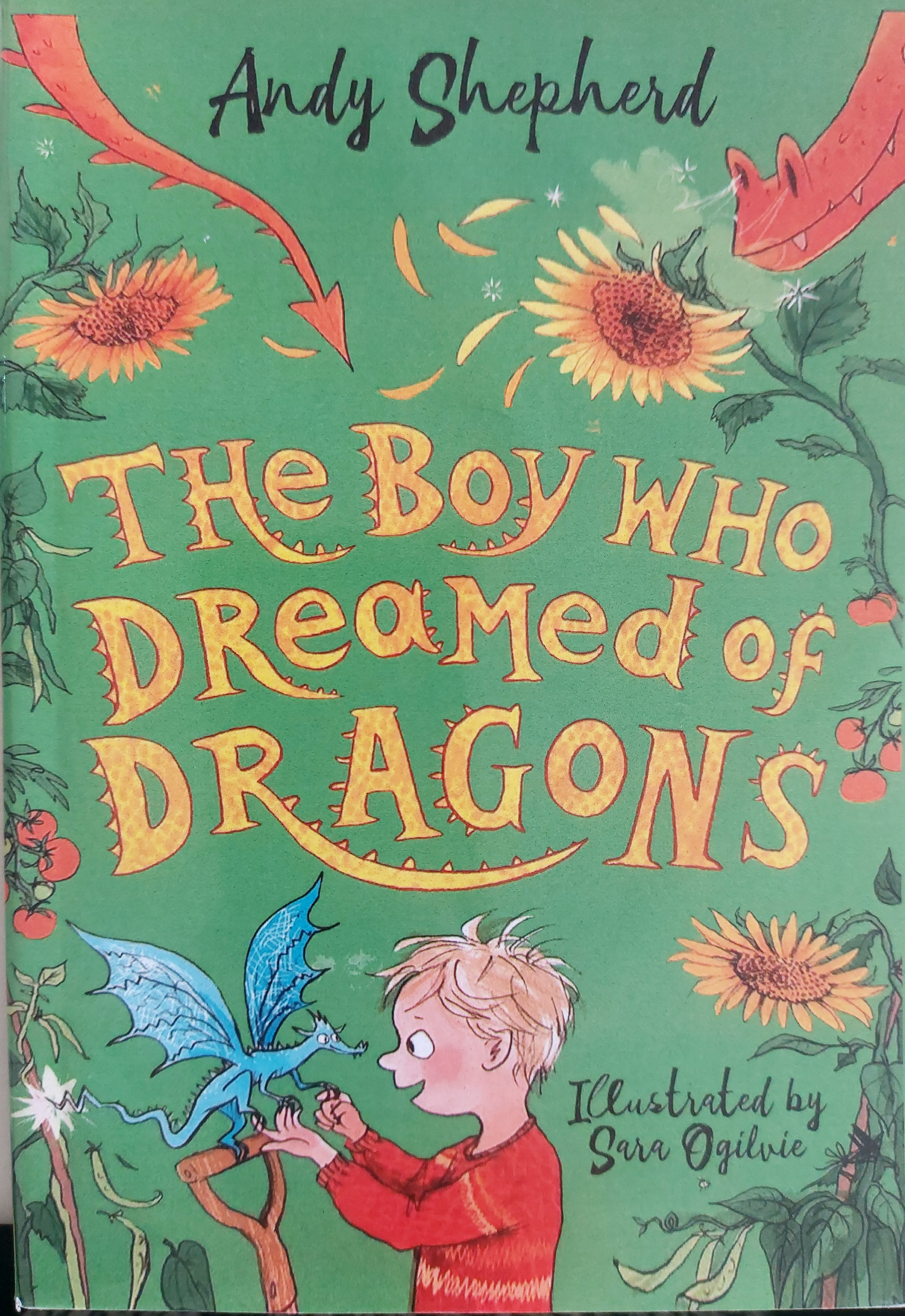 The Boy who dreamed of Dragons