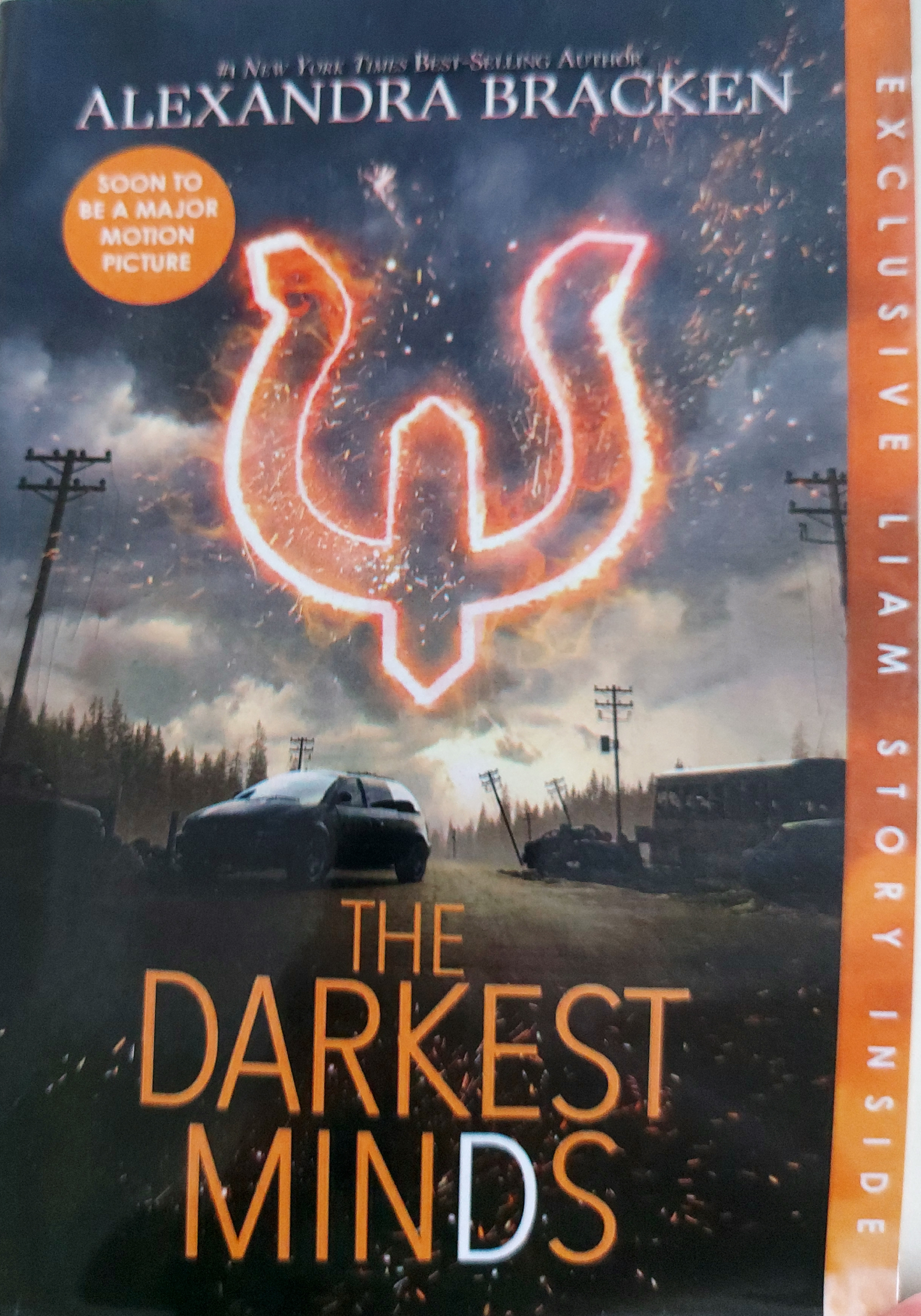 Darkest Minds