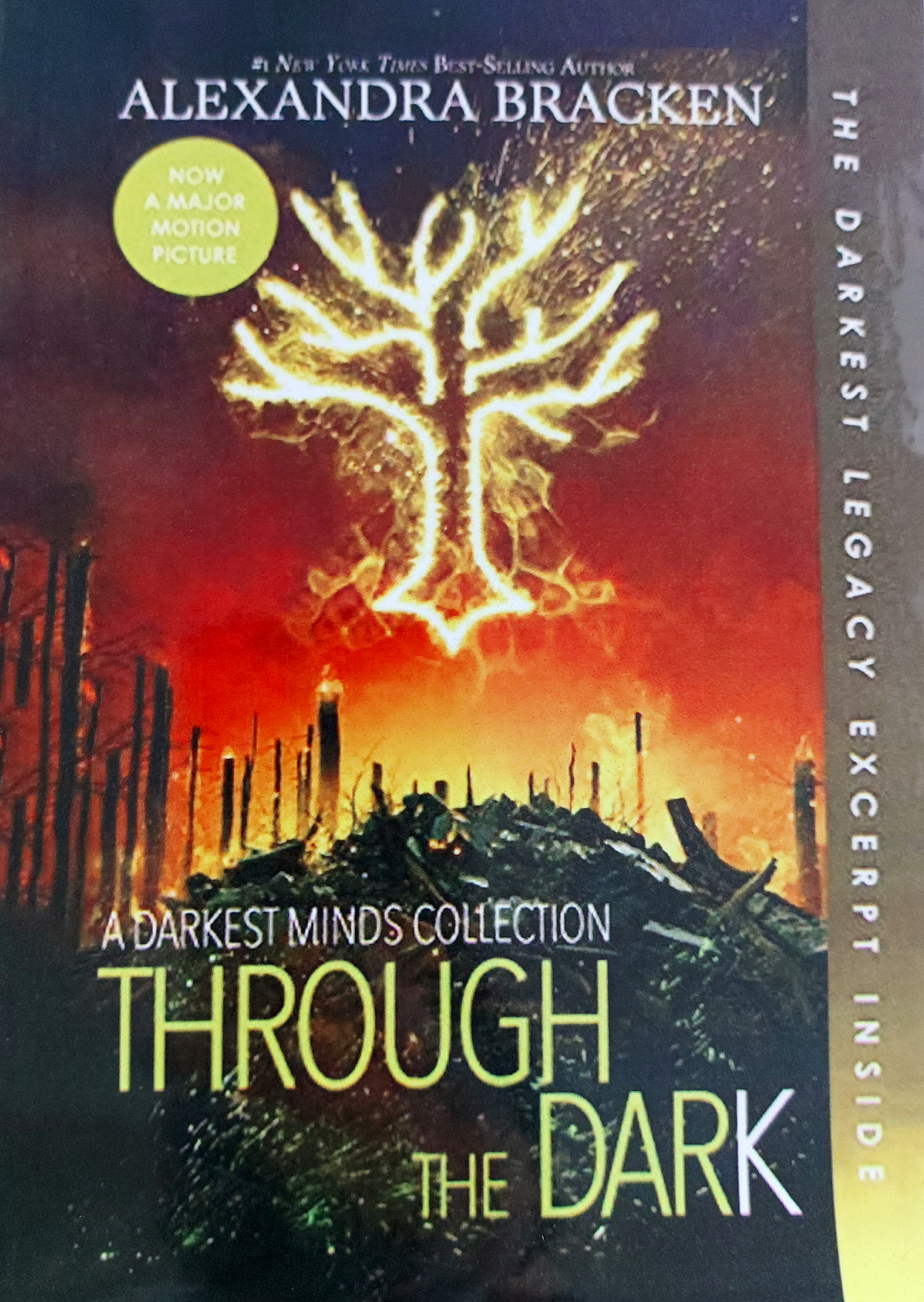 Through the Dark