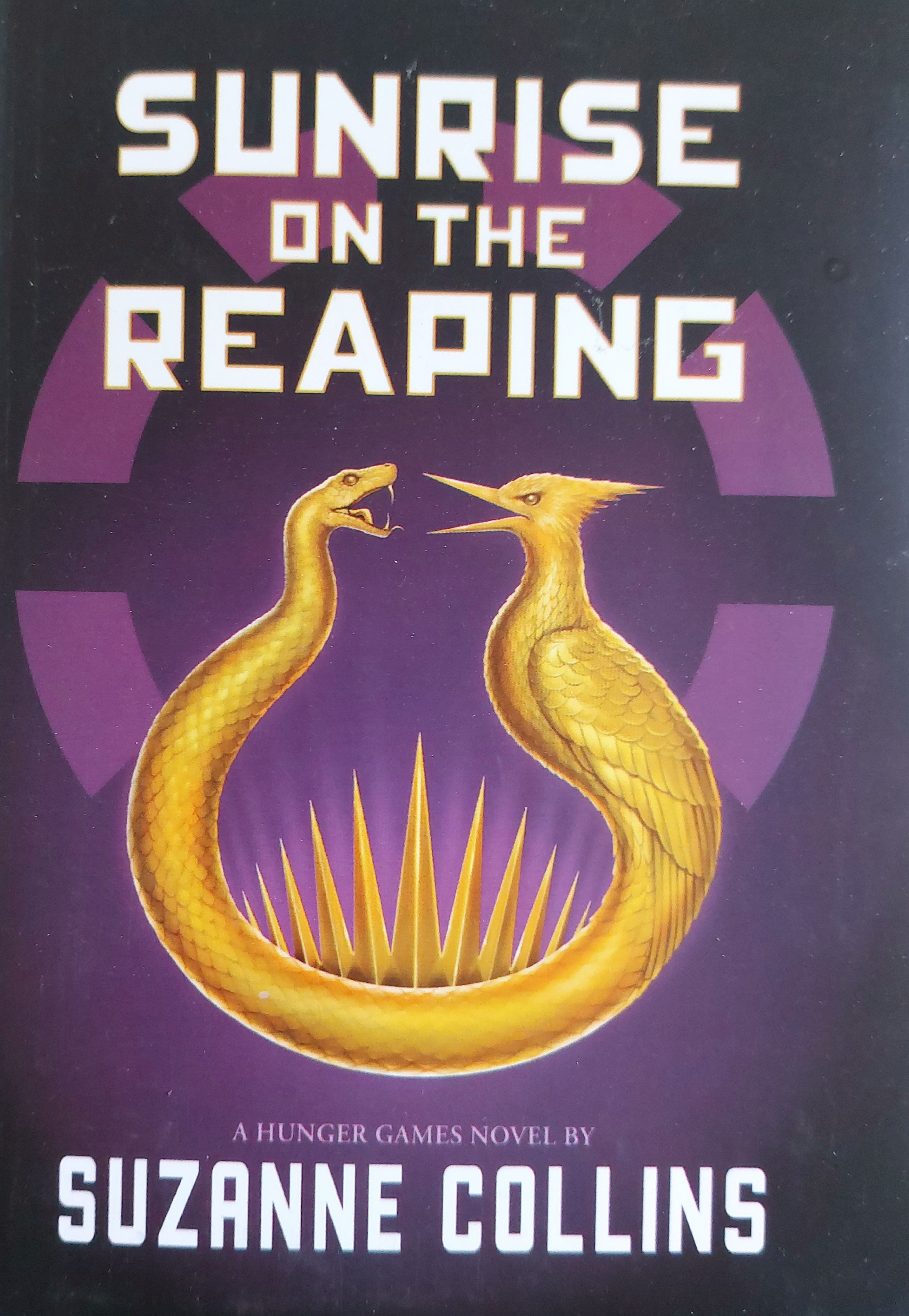 Sunrise on the Reaping