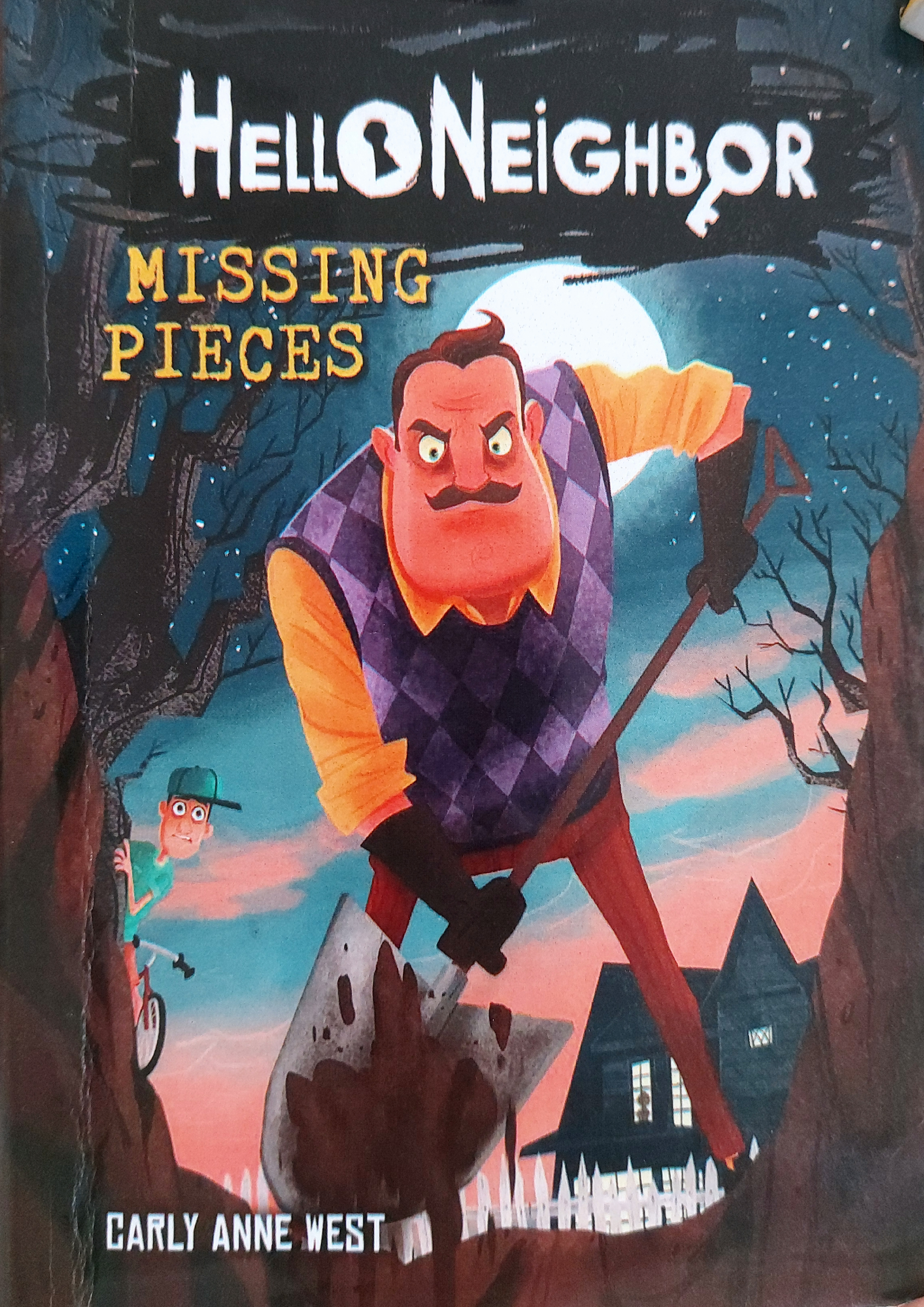 Missing Pieces